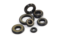 Gas Spring Seals