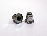 Hex Flange Cap Nut