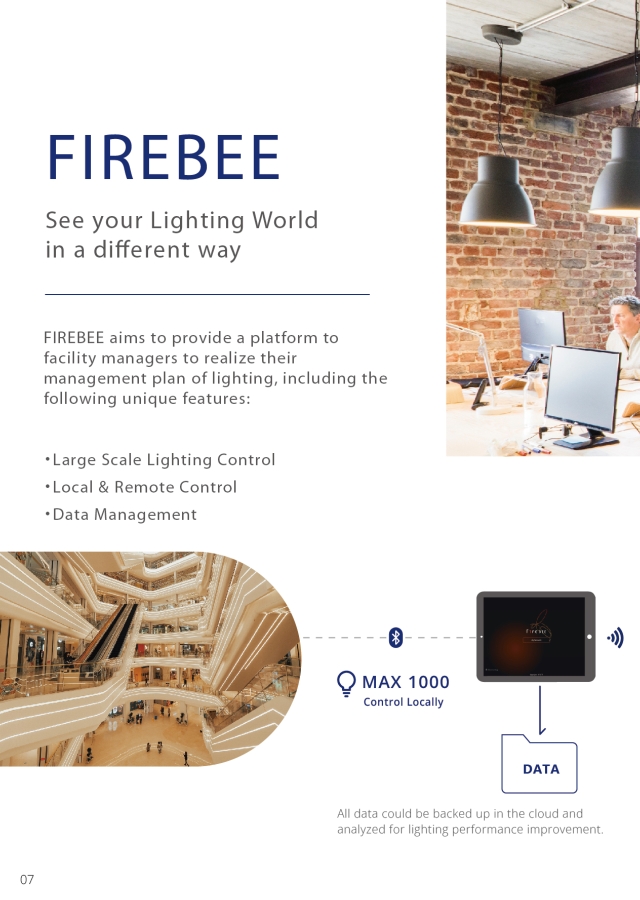 FIREBee