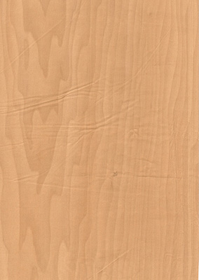 Wood Grain Decorative Paper/Melamine Paper/PVC/PETG Film- Shine Maple