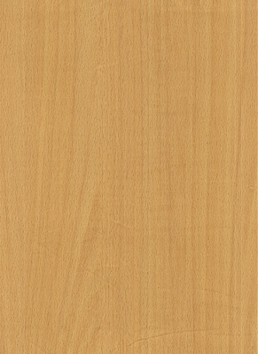 Wood Grain Decorative Paper/Melamine Paper/PVC/PETG Film- Beech