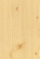 Wood Grain Decorative Paper/Melamine Paper/PVC/PETG Film- Pine