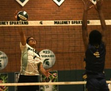 maloneyVB_a5de96 Maloney senior Wesley Colebrook gets the ball over the net in a volleyball game Thursday night against Platt, which Maloney won 3-0. Maloney, last year's Class L champion, is undefeated at 18-0 and Colebrook, an outside hitter, is closing in on 2,000 kills. (Photo by Lori Riley)