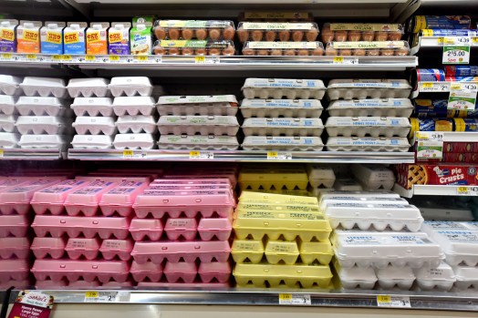 STT-L-EGGS-0403-04 Three egg producers will donate millions of eggs to food pantries to settle allegations they conspired to drive up costs. (SEAN MCKEAG / MediaNewsGroup)
