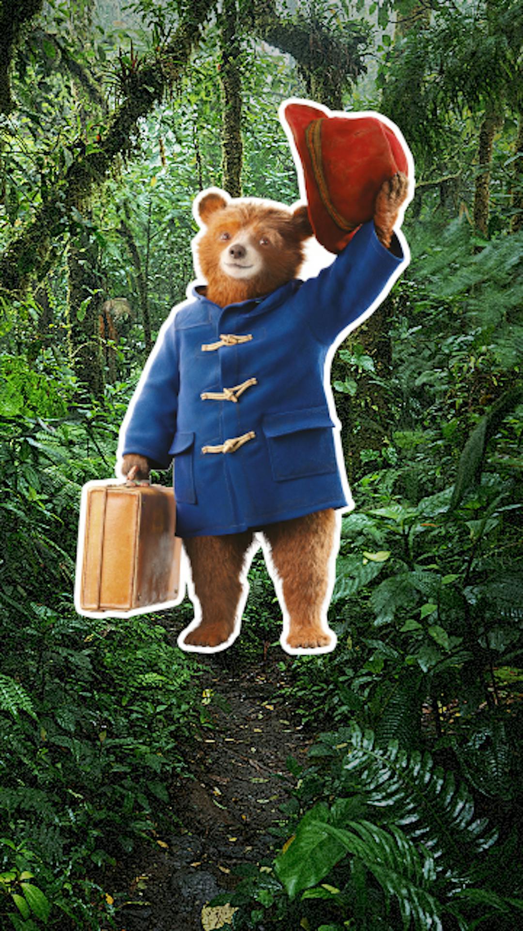 Paddington in Perù