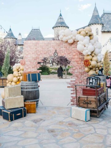 Adult Harry Potter Party Entrance