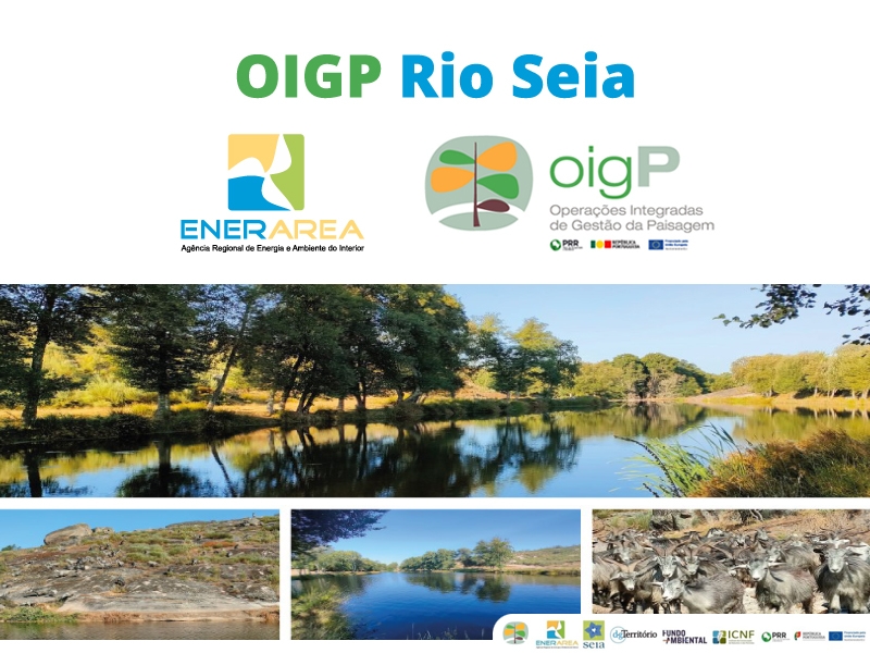 ENERAREA assina contrato de OIGP Rio Seia de 2,7 milh�es de euros