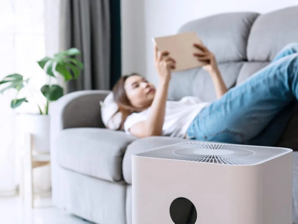 Do air purifiers aid or promote fungal growth? 39 shutterstock 1775350301 scaled