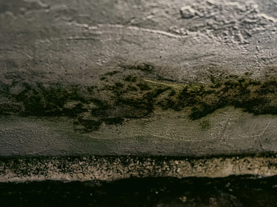 Mold in Homes and Its Impact on Housing: A Call for Action 26 photo ground texture pattern scaled