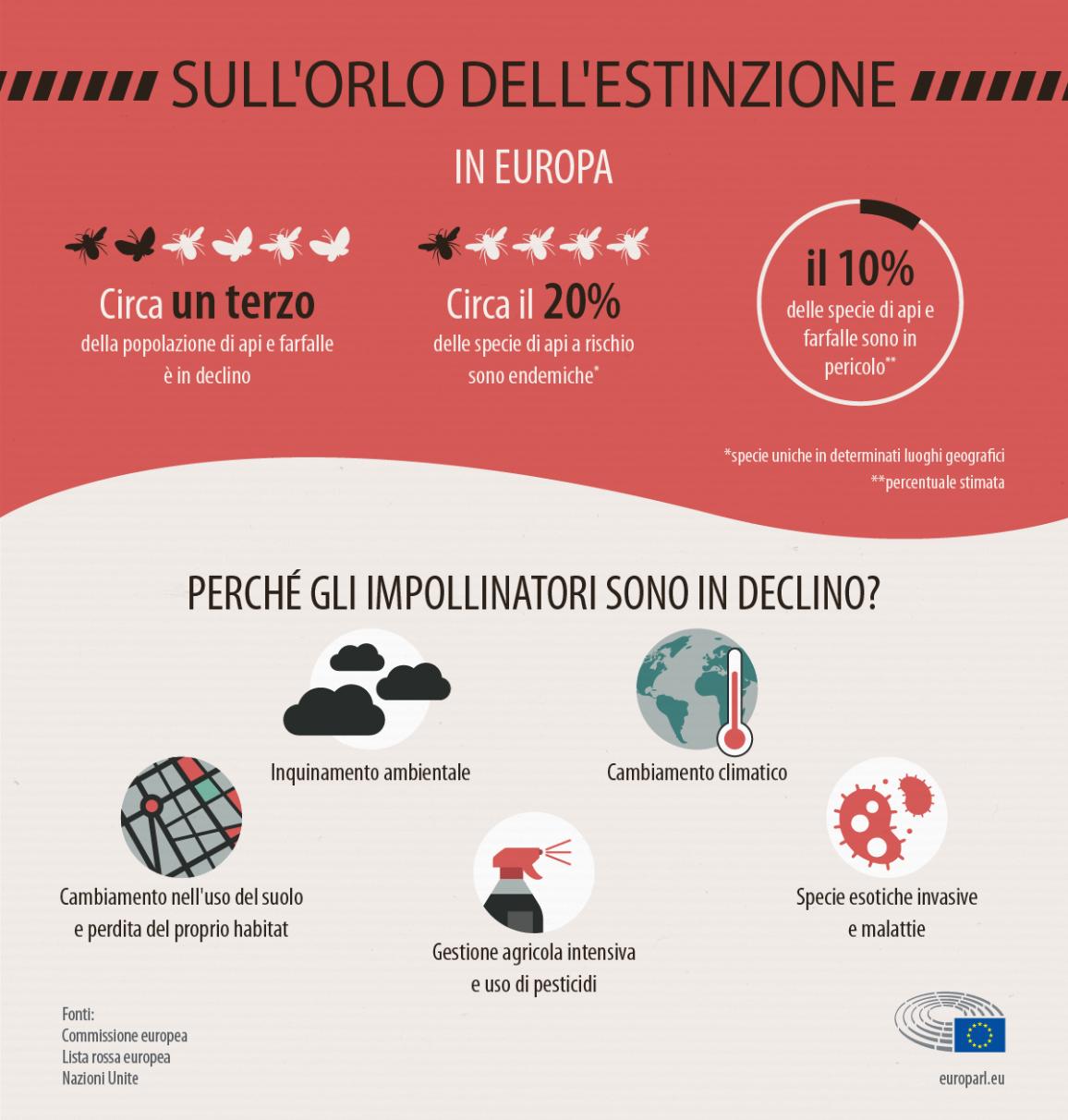 Infografica: gli impollinatori sull'orlo dell'estinzione, un grafico sulle cause