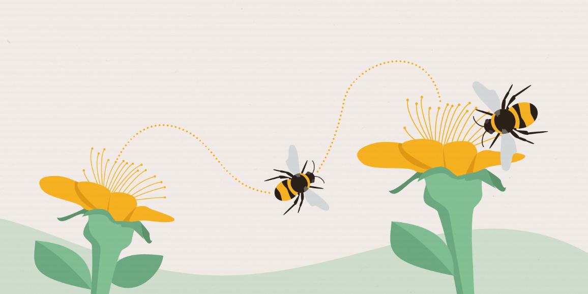 Illustration représentant des abeilles qui butinent.