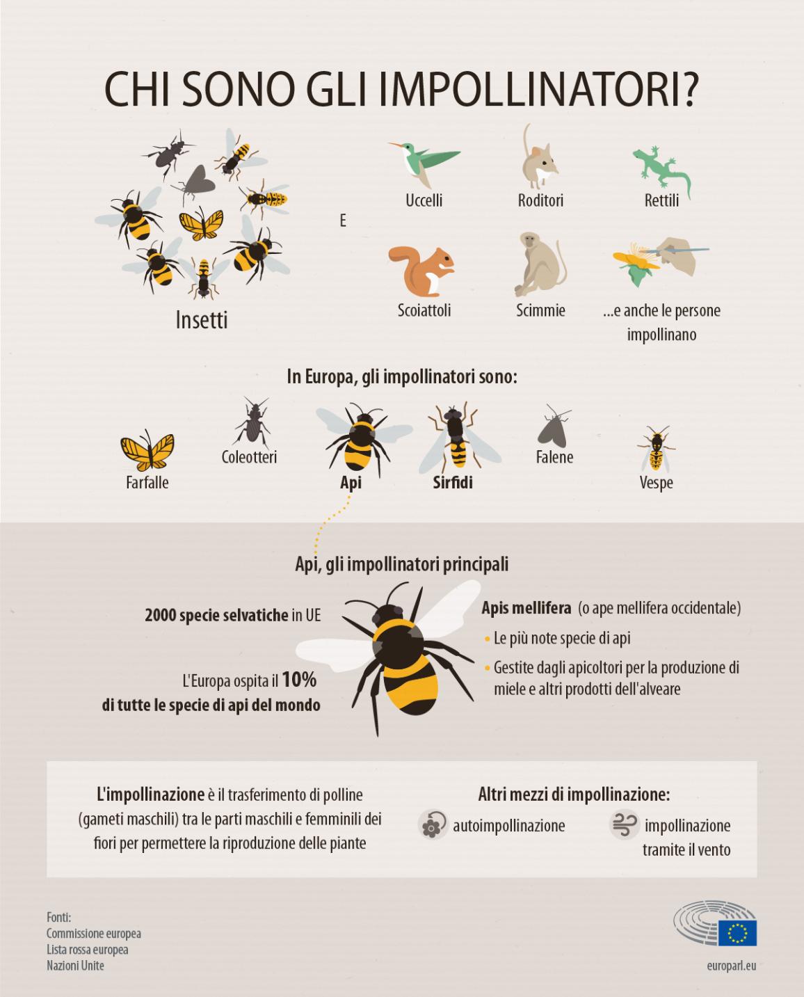 Infografica: chi sono gli impollinatori  