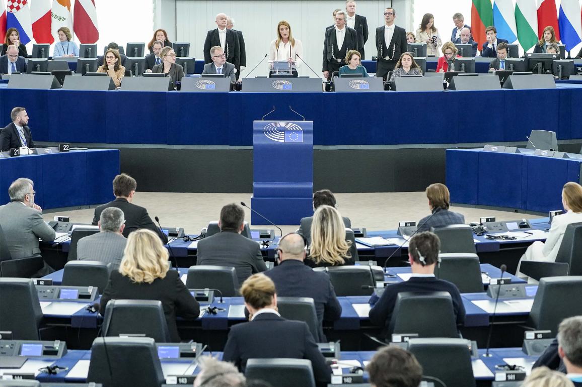 Plenary chamber