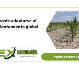 Nuevas tecnologías al servicio de los agricultores