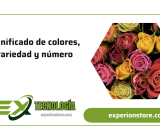 significado de colores, variedad y número