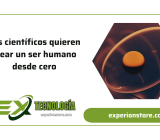 Los científicos quieren crear un ser humano desde cero