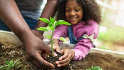 Father and daughter with hands on a small plant.