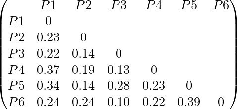 \begin{pmatrix} & P1 & P2 & P3 & P4 & P5 & P6 \\ P1 & 0 \\ P2 & 0.23 & 0 \\ P3 & 0.22 & 0.14 & 0 \\ P4 & 0.37 & 0.19 & 0.13 & 0 \\ P5 & 0.34 & 0.14 & 0.28 & 0.23 & 0 \\ P6 & 0.24 & 0.24 & 0.10 & 0.22 & 0.39 & 0 \\ \end{pmatrix}