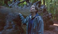 Frances McDormand in Nomadland