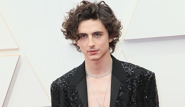 Timothée Chalamet red carpet