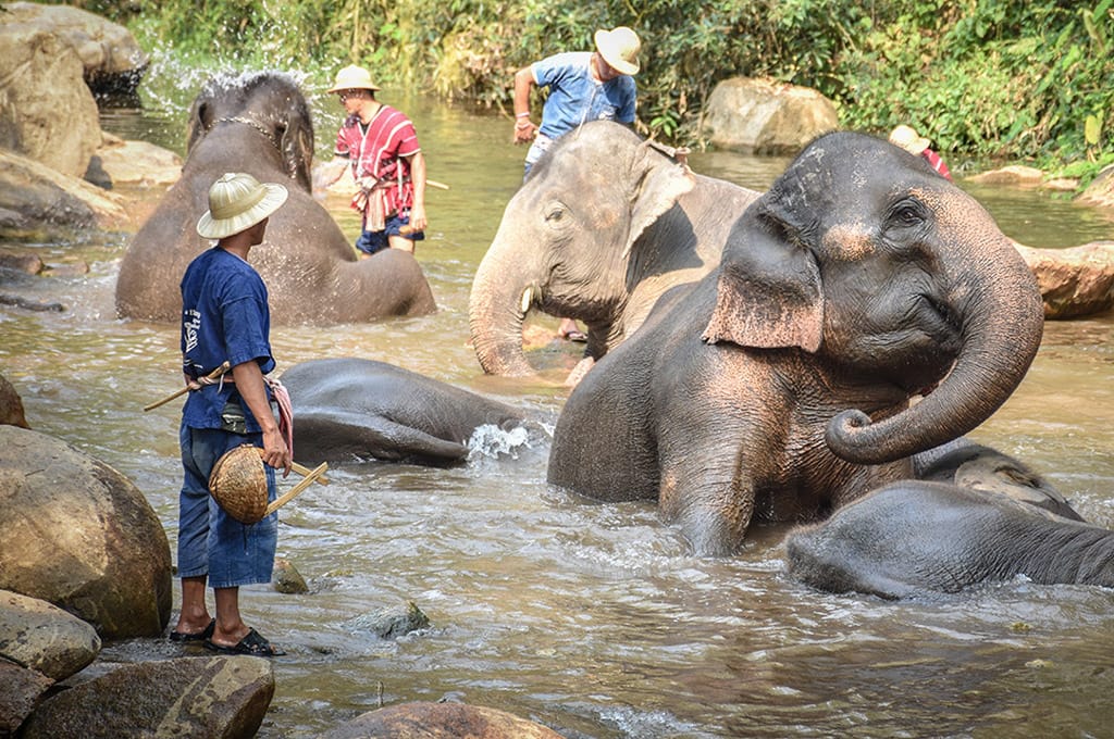 Thailand Golf Expedition - Top Courses