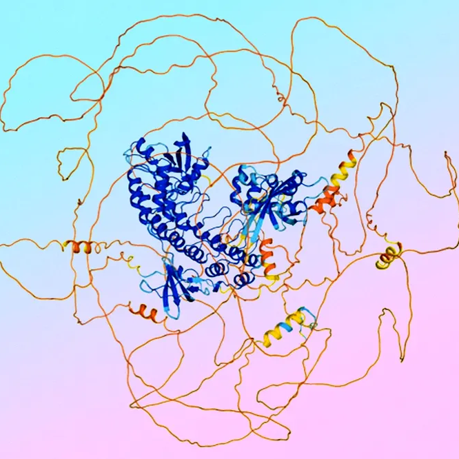 A 3D representation of a protein structure with blue helices and sheets, with orange loops and coils on a pink background.