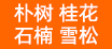 南京来云苗圃