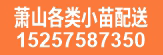 萧山球类毛球水生植物 海桐球石楠球黄杨球  红花继木金森女贞球