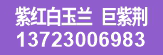 紫红白玉兰，丛生五角枫，丛生元宝枫，巨紫荆 紫薇，女贞
