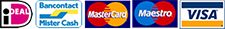 footer-payments