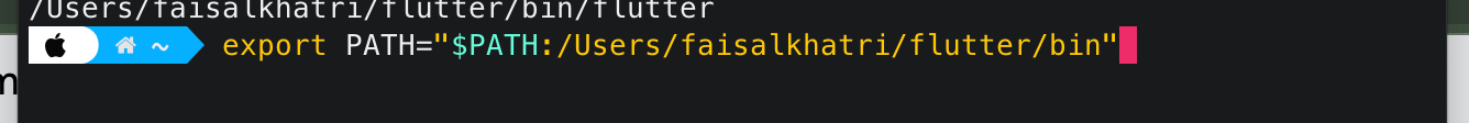 extracted the Flutter SDK files