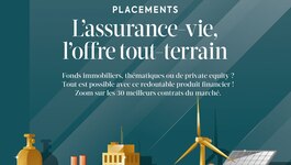 Dossier spécial - L'assurance-vie, l'offre tout terrain