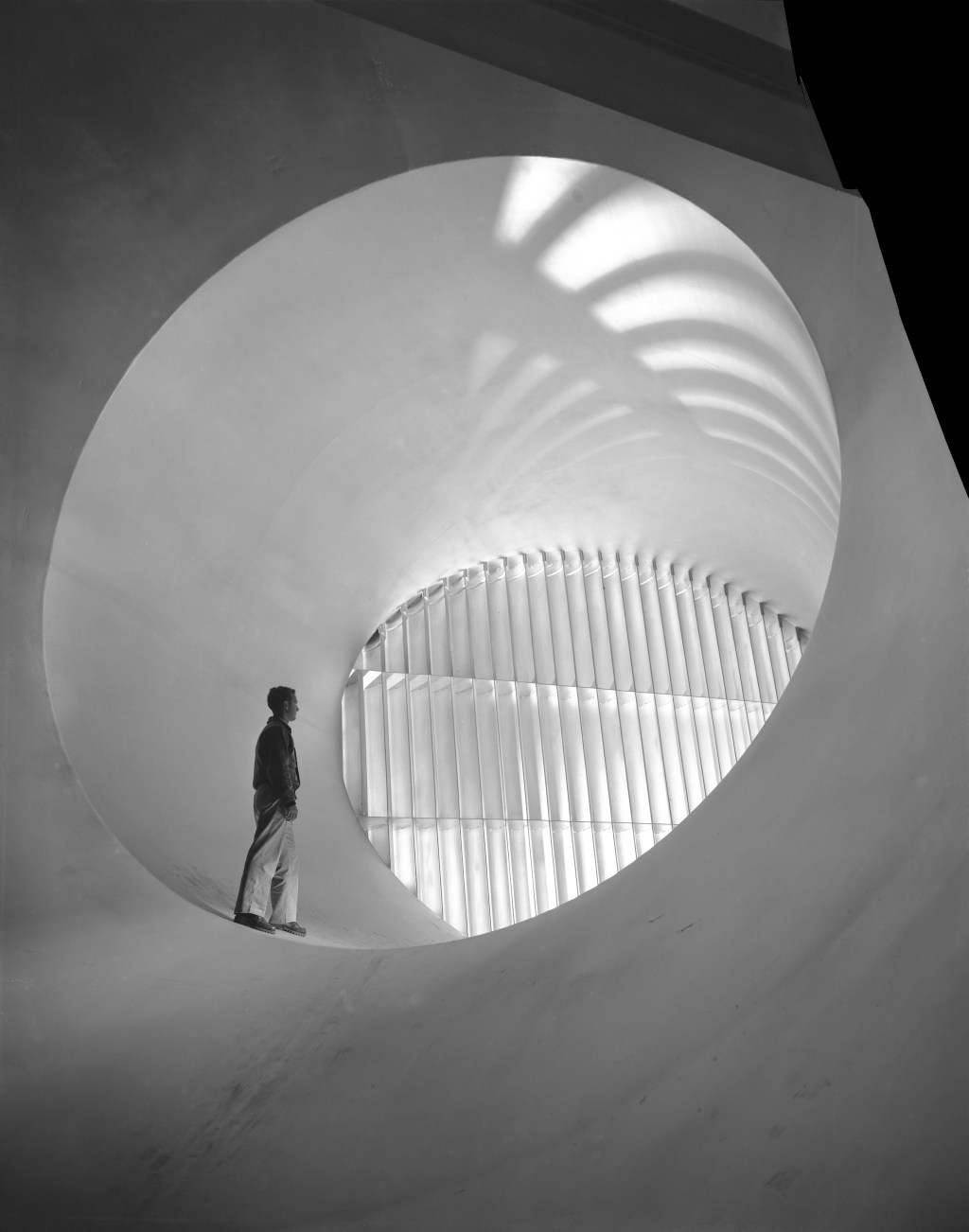Wind Tunnels of the NACA and NASA