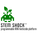 Stem Shock