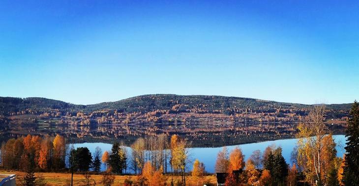 Høstbilde med gule trær i forkant, Storsjøen i midten og bergside med himmel i bakgrunnen