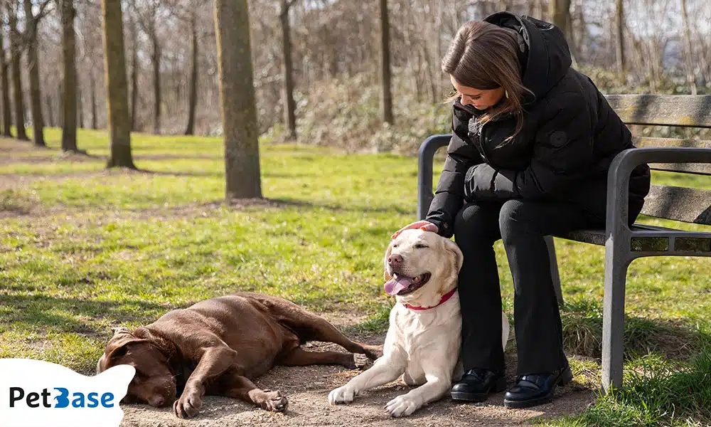 mooiste losloopgebieden Nederland honden