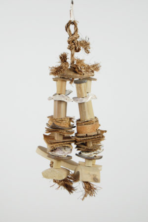 Nature Cluster Medium