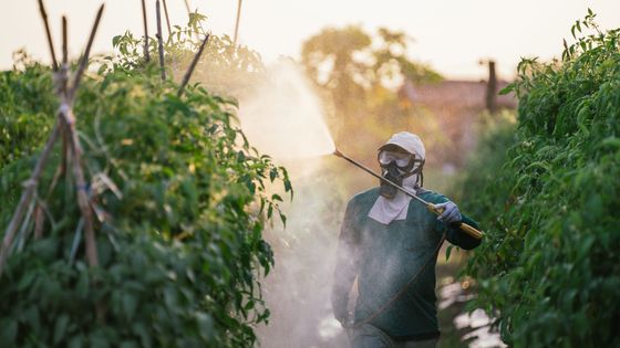 Et si on arrêtait vraiment les pesticides ?