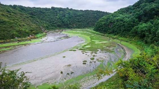 Le fleuve le Gouessant, en Bretagne en juillet 2021. Selon WWF France 57% des cours d’eau ne se trouvent pas dans un bon état écologique.