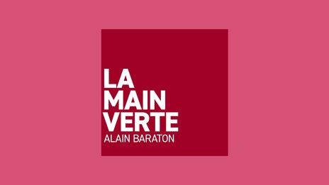 La main verte 4000x1000