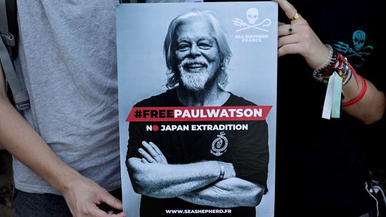 Manifestation pour la libération de Paul Watson, à Paris, le 11 août 2024