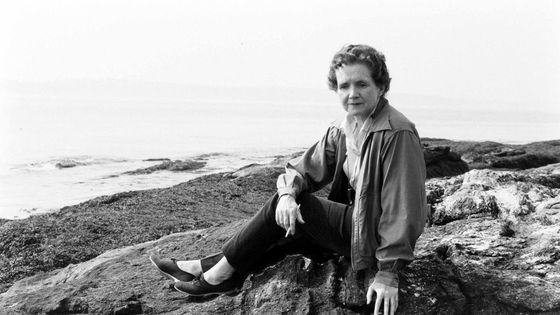 Rachel Carson "éco-féministe" ?, avoir raison avec, podcast France Culture