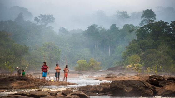 Une famille autochtone pêche, à Camopi, en Guyane, en 2014