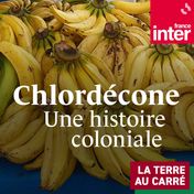 Scandale du chlordécone aux Antilles