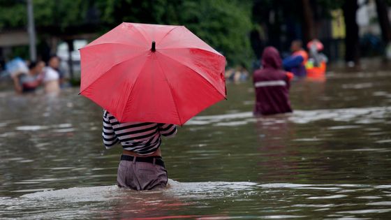 Quand les villes prennent l'eau