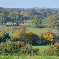 Le projet de PNR Sud-Berry vise à valoriser les ressources naturelles, paysagères et patrimoniales du Sud-Berry comme les bocages du Boischaut Sud