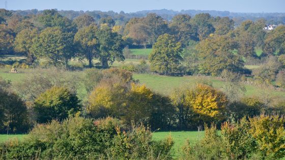 Le projet de PNR Sud-Berry vise à valoriser les ressources naturelles, paysagères et patrimoniales du Sud-Berry comme les bocages du Boischaut Sud