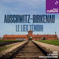 Auschwitz-Birkenau, Le lieu témoin