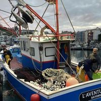 Comme l'Aventurier, quelque 300 navires français, de la pointe bretonne à la frontière avec l’Espagne, ne peuvent pas pêcher dans le golfe de Gascogne.