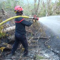 Les pompiers s'attendent à un fort risque de feux de forêt ce week-end.